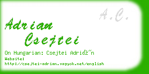 adrian csejtei business card